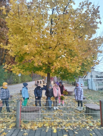 0b1d7fd7-e027-4055-afe5-19897ad89122