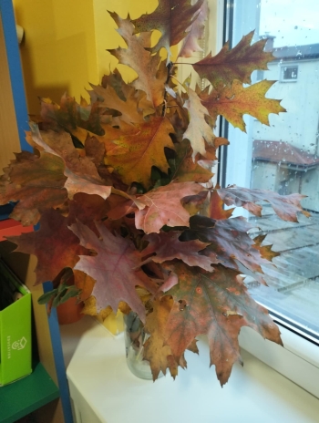 1a44414a-36a6-4842-920a-deee3efedb98