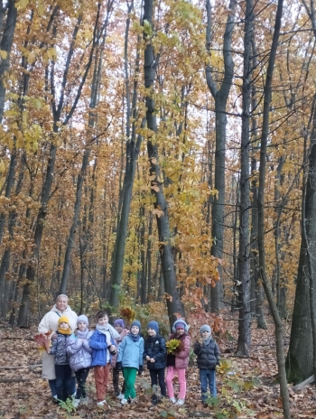 d223b408-5de5-4c5a-a1d1-be572a8e5576