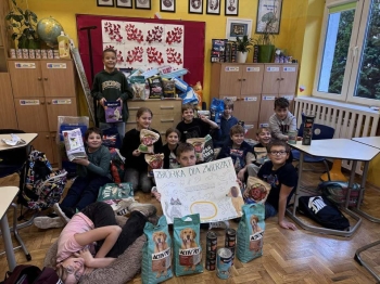 zbiórka dla zwierząt