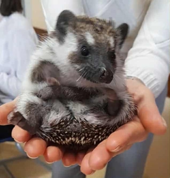 8f94489e-d9b7-4691-8499-b1eb5ddde0ea