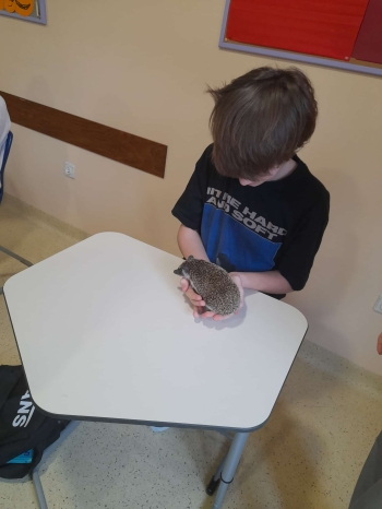 1294be1f-4f45-42dd-bf7e-aac9dc903588