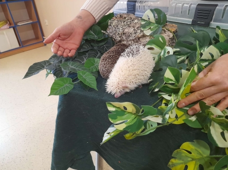 Nagroda - warsztaty w klasie VII